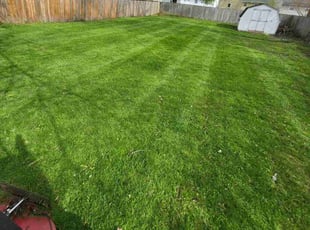 Myke B.'s Yard Cutting service result