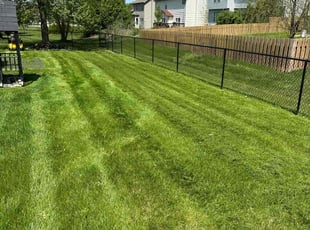 Betsy L.'s Lawn Mowing service result