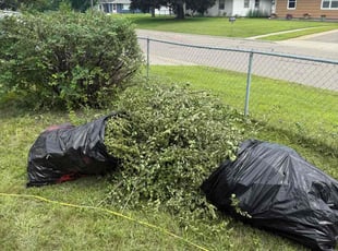 Bush Trimming by Travis Hardin for Heidie S. in Minneapolis, MN