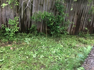 Leaf Removal by Shawn Seeley for Nathan H. in Choctaw, OK