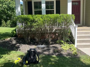 Bush Trimming by Kathrine Brown for James M. in Charlottesville, VA