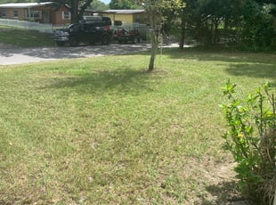 Bush Trimming by Carlos Martinez for Deborah L. in Orlando, FL