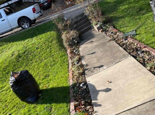 Leaf Removal by Jeremy Johnson for Cary S. in Pittsburgh, PA