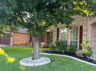 Margaret H.'s Yard Cutting service result