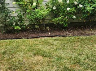 Bush Trimming by Nick Slagle for Queenie L. in Wake Forest, NC