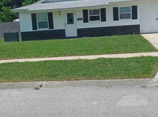 Litishi L.'s Lawn Maintenance service result