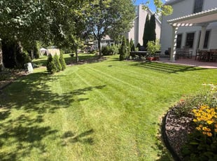 Tom F.'s Lawn Mowing service result