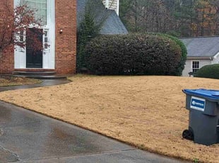 Bush Trimming by Timothy WIlliams for Nichole P. in Marietta, GA