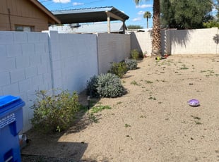 Bush Trimming by Ryan Stan for Terence T. in Phoenix, AZ