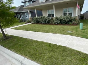 Missy Y.'s Yard Cutting service result