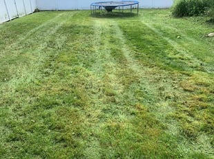 Cleanups by Kyle Yacko for Kim H. in Warren, MI
