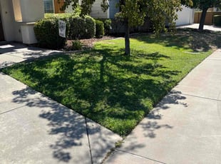TANYA R.'s Lawn Mowing Service service result