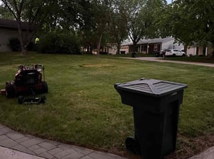 Cleanups by Brandon Fiala for Dianne K. in St. Peters, MO