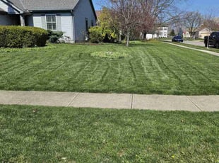 Maura J.'s Lawn Mowing Service service result