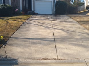 Leaf Removal by Talmage Martin for Sam M. in Lexington, SC