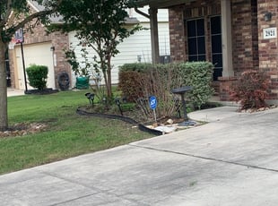 Bush Trimming by Daniel Mora for Jennifer M. in Schertz, TX