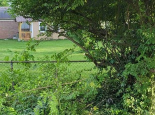 Bush Trimming by Dywane Clarke for BARRY C. in Columbus, OH