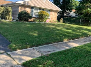 Kai W.'s Grass Cutting service result