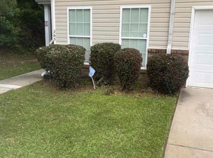 Bush Trimming by Alexis Crawford for Dawn H. in Riverdale, GA