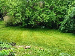 Chuck W.'s Yard Cutting service result