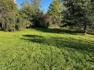 Rachel W.'s Lawn Service service result