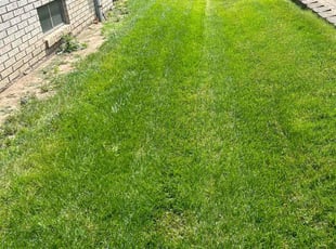 Bruce C.'s Lawn Service service result