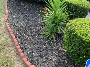 Weeding by Sonia Arellano for Iliasa M. in Humble, TX