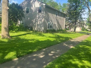 Valante G.'s Lawn Mowing service result