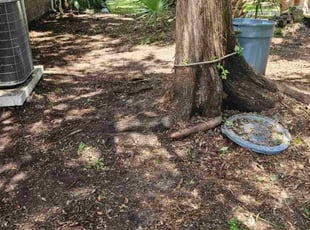 Leaf Removal by Jason Hughes for Janet F. in Savannah, GA
