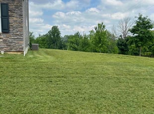 Erin S.'s Lawn Mowing service result