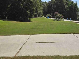 Mark M.'s Lawn Mowing Service service result