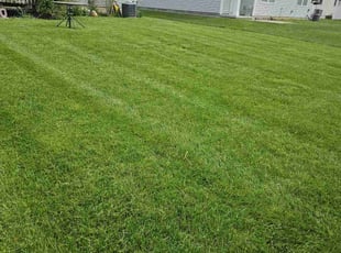 Todd G.'s Lawn Maintenance service result
