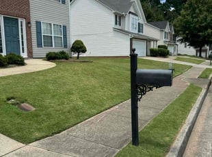 Frances D.'s Lawn Care service result