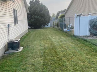 STACY Z.'s Lawn Service service result