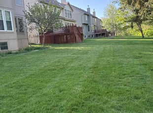 Vanessa C.'s Lawn Maintenance service result