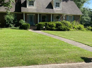 Shane H.'s Lawn Mowing Service service result