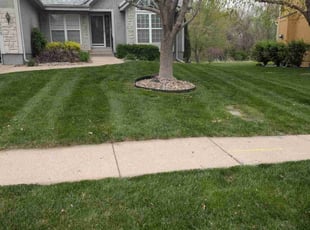 Zack K.'s Lawn Service service result