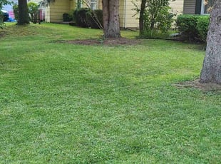Joan L.'s Lawn Care service result