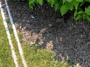 Weeding by Noe Lara for Jaime S. in Omaha, NE