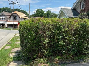 Bush Trimming by Nikki Johnson for Christina P. in Pittsburgh, PA