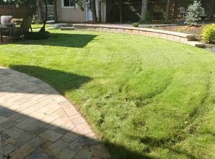 Lynette C.'s Grass Cutting service result