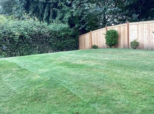 Margaret D.'s Lawn Mowing service result