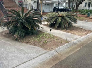 Leaf Removal by Sharone Kinlock Sr for Pantelis A. in Charleston, SC