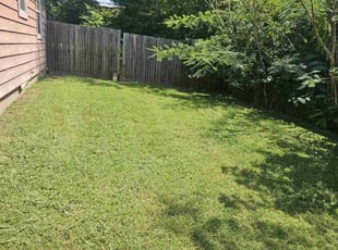 Madeline H.'s Lawn Mowing Service service result