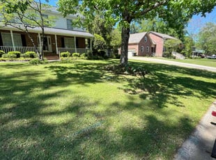 Paul S.'s Yard Cutting service result