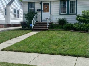 Julie H.'s Lawn Mowing service result
