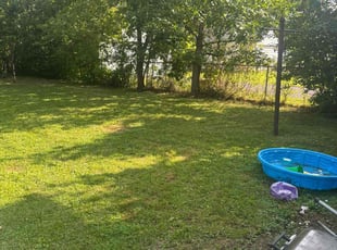 Kim M.'s Lawn Mowing service result