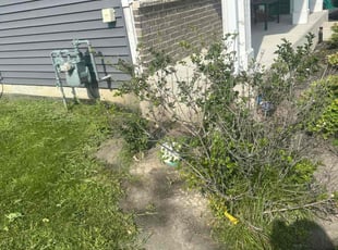 Weeding by Israel Chavez for Keenan W. in Joliet, IL