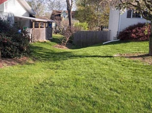 Ronald M.'s Lawn Service service result