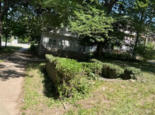 Bush Trimming by Bryant King for Derek L. in Kansas City, MO